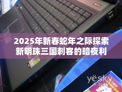 2025年新春蛇年之际探索新明珠三国刺客的暗夜利刃之道