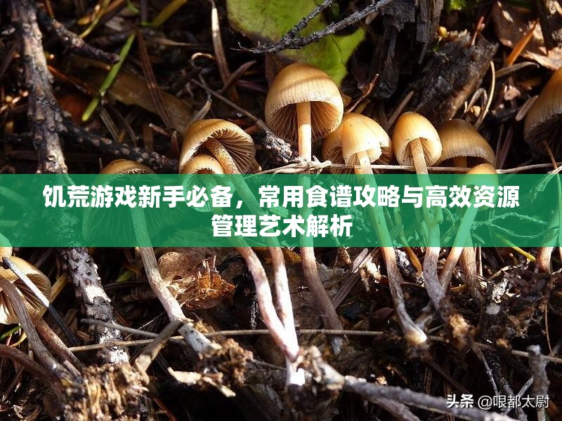 饥荒游戏新手必备，常用食谱攻略与高效资源管理艺术解析