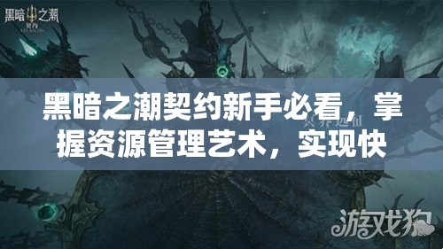 黑暗之潮契约新手必看，掌握资源管理艺术，实现快速入门与成长