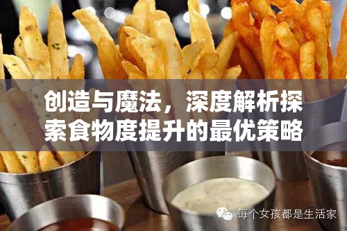 创造与魔法，深度解析探索食物度提升的最优策略与实践方法