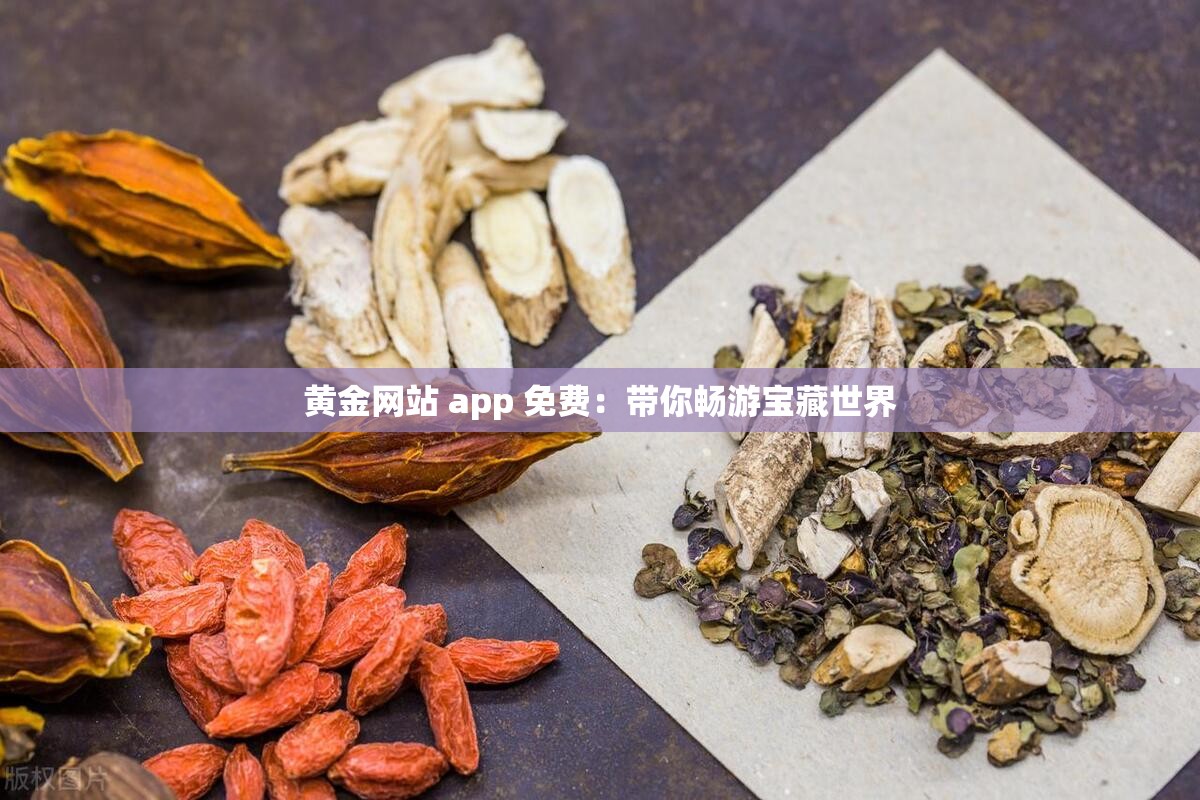 黄金网站 app 免费：带你畅游宝藏世界