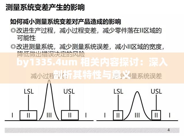 by1335.4um 相关内容探讨：深入剖析其特性与意义