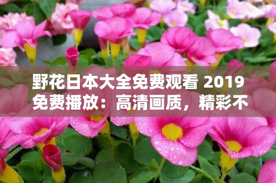 野花日本大全免费观看 2019 免费播放：高清画质，精彩不断