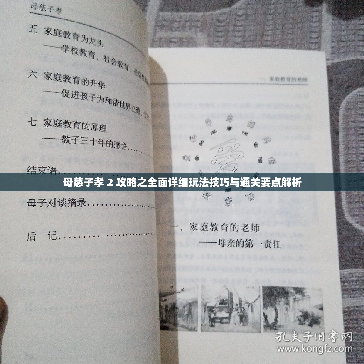 母慈子孝 2 攻略之全面详细玩法技巧与通关要点解析