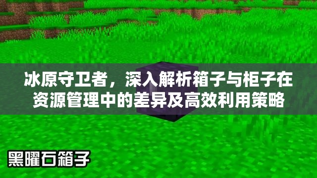 冰原守卫者，深入解析箱子与柜子在资源管理中的差异及高效利用策略