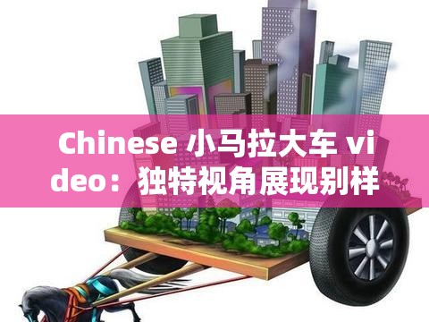 Chinese 小马拉大车 video：独特视角展现别样魅力