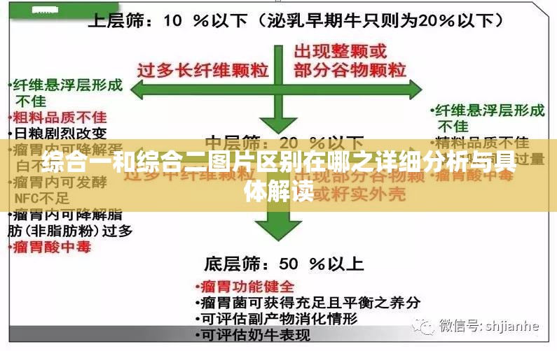 综合一和综合二图片区别在哪之详细分析与具体解读