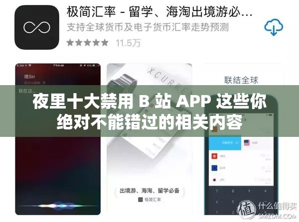 夜里十大禁用 B 站 APP 这些你绝对不能错过的相关内容