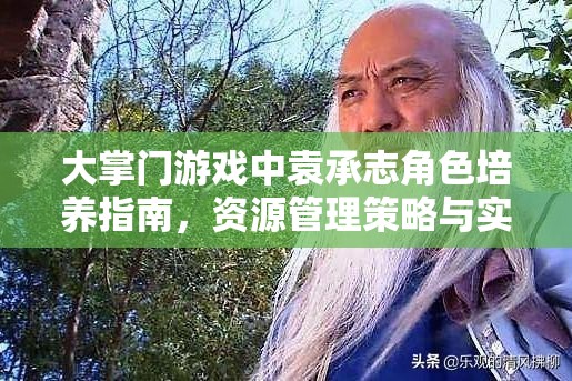 大掌门游戏中袁承志角色培养指南，资源管理策略与实战技巧详解