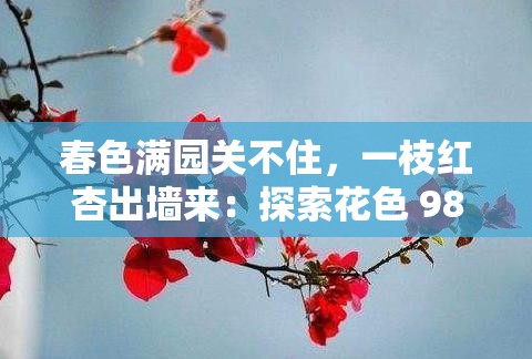 春色满园关不住，一枝红杏出墙来：探索花色 98 堂背后的秘密