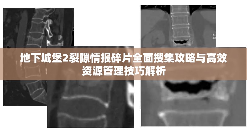 地下城堡2裂隙情报碎片全面搜集攻略与高效资源管理技巧解析