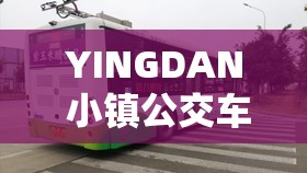 YINGDAN 小镇公交车尺寸为何如此多样化？原因揭秘