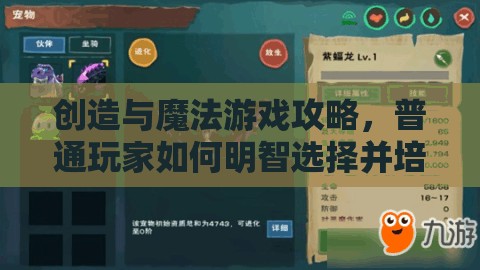 创造与魔法游戏攻略，普通玩家如何明智选择并培养宠物指南