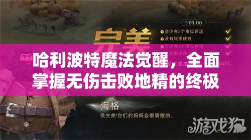 哈利波特魔法觉醒，全面掌握无伤击败地精的终极策略秘籍