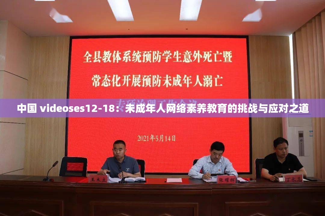 中国 videoses12-18：未成年人网络素养教育的挑战与应对之道