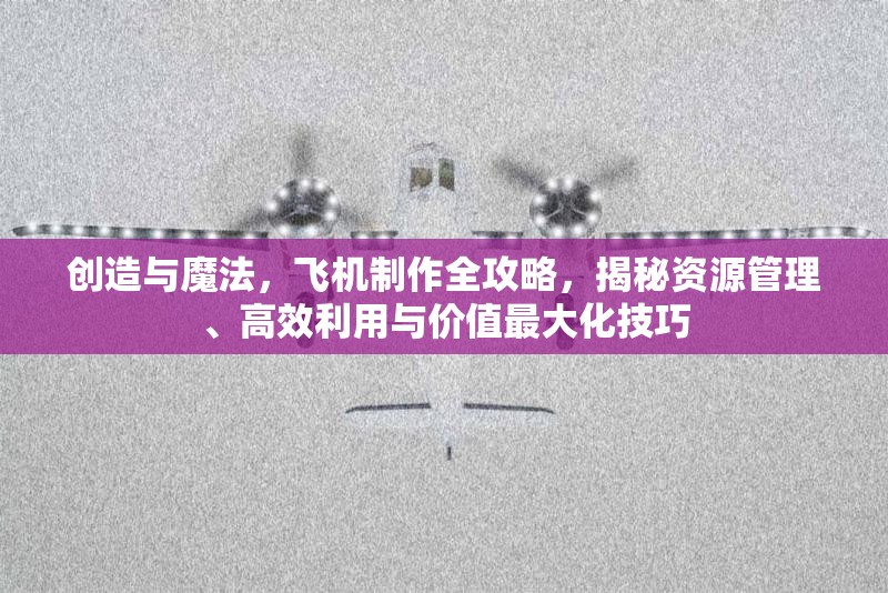 创造与魔法，飞机制作全攻略，揭秘资源管理、高效利用与价值最大化技巧