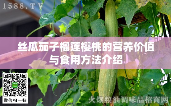 丝瓜茄子榴莲樱桃的营养价值与食用方法介绍