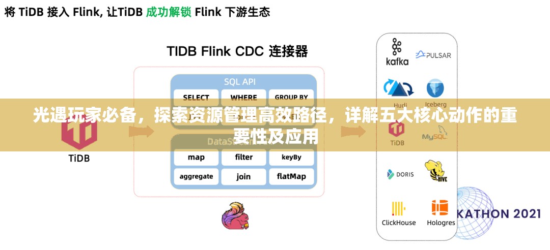 光遇玩家必备，探索资源管理高效路径，详解五大核心动作的重要性及应用