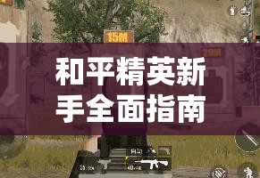 和平精英新手全面指南，资源管理技巧、高效利用策略与价值最大化方法