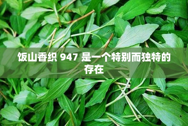 饭山香织 947 是一个特别而独特的存在