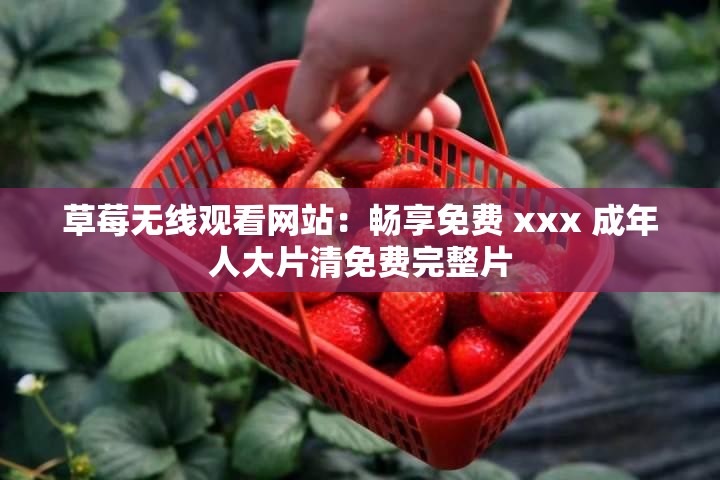 草莓无线观看网站：畅享免费 xxx 成年人大片清免费完整片