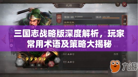 三国志战略版深度解析，玩家常用术语及策略大揭秘