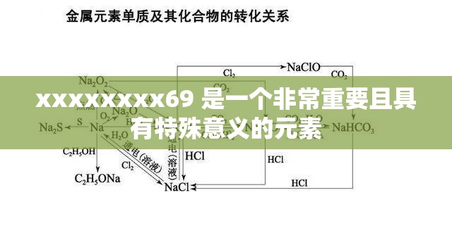 xxxxxxxx69 是一个非常重要且具有特殊意义的元素