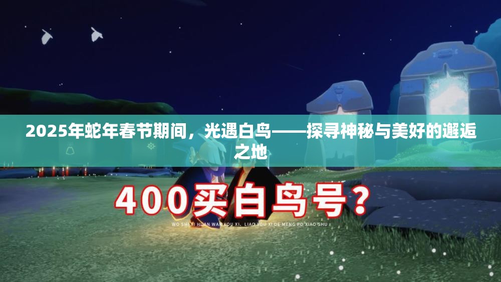 2025年蛇年春节期间，光遇白鸟——探寻神秘与美好的邂逅之地