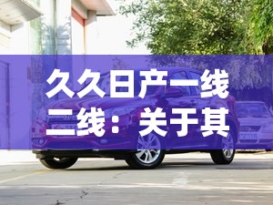 久久日产一线二线：关于其产品特点与市场优势分析