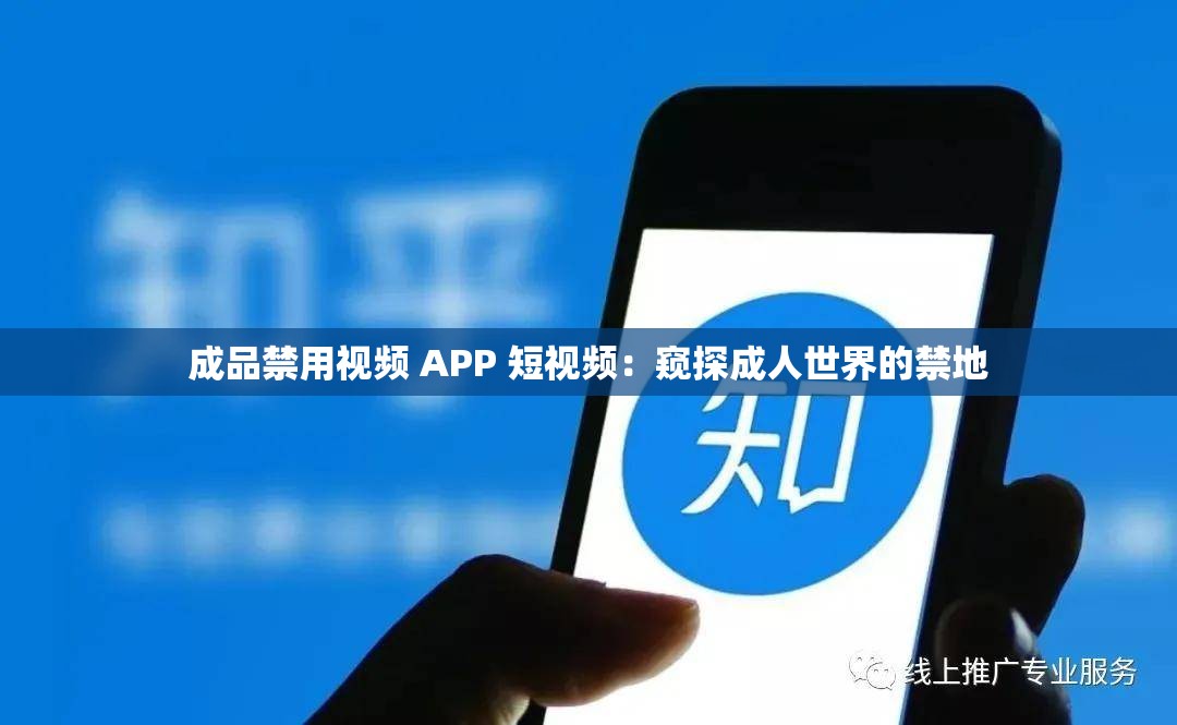 成品禁用视频 APP 短视频：窥探成人世界的禁地