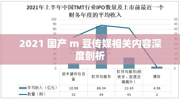 2021 国产 m 豆传媒相关内容深度剖析