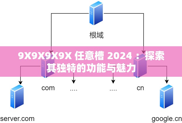 9X9X9X9X 任意槽 2024 ：探索其独特的功能与魅力