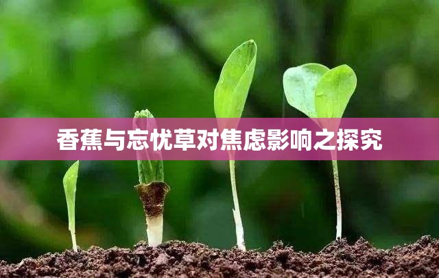 香蕉与忘忧草对焦虑影响之探究