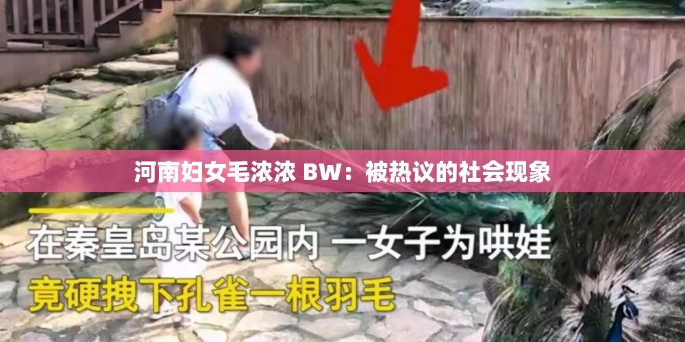 河南妇女毛浓浓 BW：被热议的社会现象