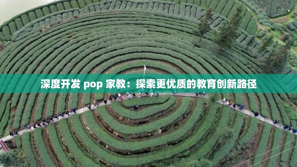 深度开发 pop 家教：探索更优质的教育创新路径