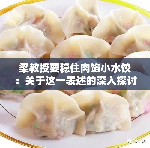 梁教授要稳住肉馅小水饺：关于这一表述的深入探讨与分析