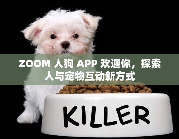 ZOOM 人狗 APP 欢迎你，探索人与宠物互动新方式