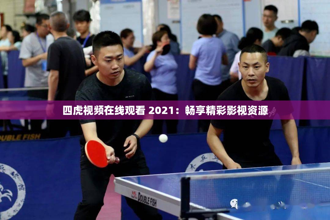 四虎视频在线观看 2021：畅享精彩影视资源