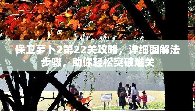 保卫萝卜2第22关攻略，详细图解法步骤，助你轻松突破难关