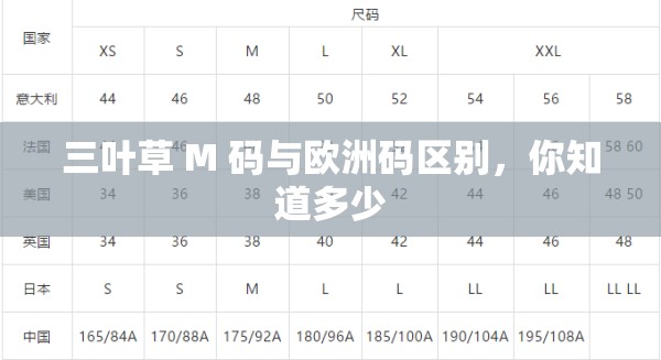 三叶草 M 码与欧洲码区别，你知道多少