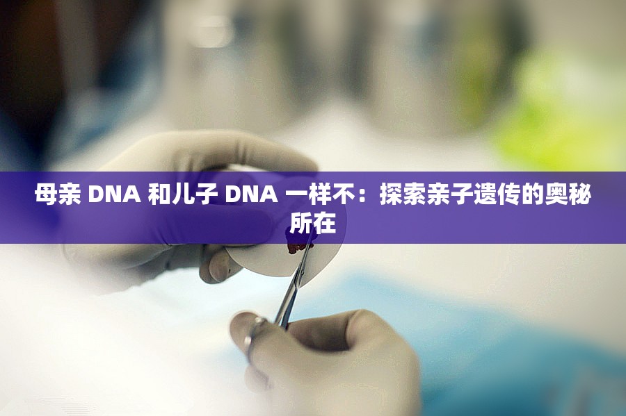 母亲 DNA 和儿子 DNA 一样不：探索亲子遗传的奥秘所在