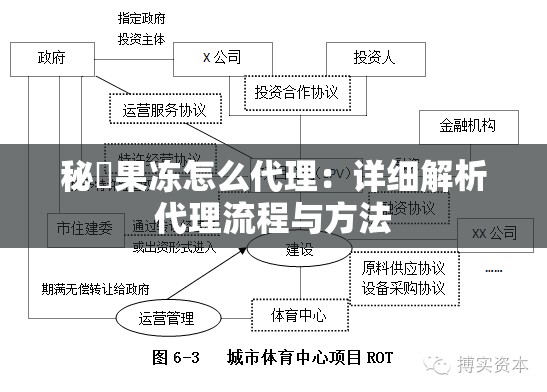 秘媞果冻怎么代理：详细解析代理流程与方法