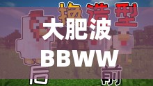 大肥波 BBWWHBBWW ：一段独特且充满魅力的神秘字符组合