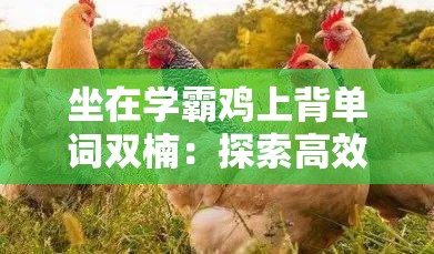 坐在学霸鸡上背单词双楠：探索高效学习的奇妙之旅