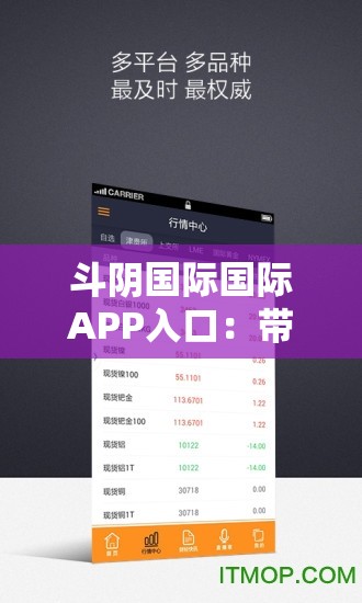 斗阴国际国际APP入口：带你领略精彩的社交世界