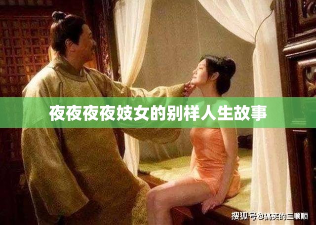 夜夜夜夜妓女的别样人生故事