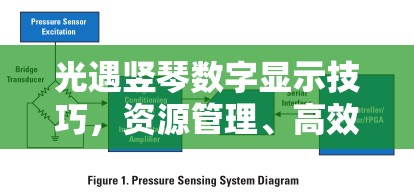 光遇竖琴数字显示技巧，资源管理、高效利用策略与避免浪费指南