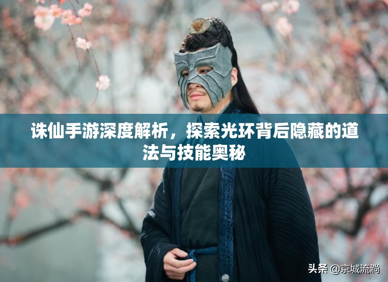 诛仙手游深度解析，探索光环背后隐藏的道法与技能奥秘