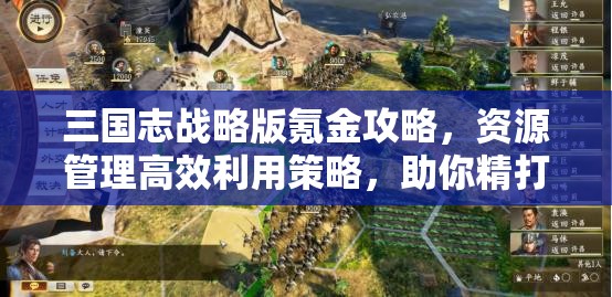 三国志战略版氪金攻略，资源管理高效利用策略，助你精打细算避免浪费