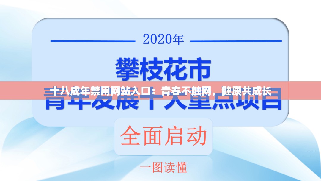 十八成年禁用网站入口：青春不触网，健康共成长